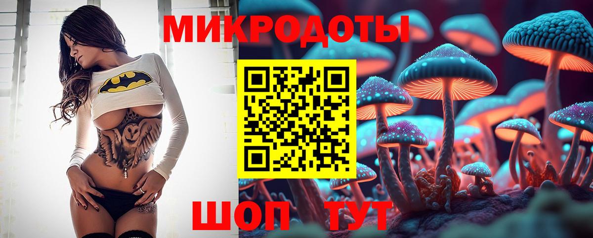 Ишим  Псилоцибиновые грибы мицелий  Вход с VPN 